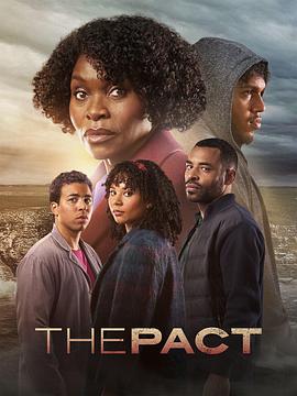 seo整站优化哪家案例多一些